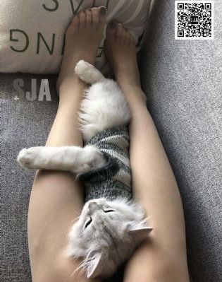 美国辣妈